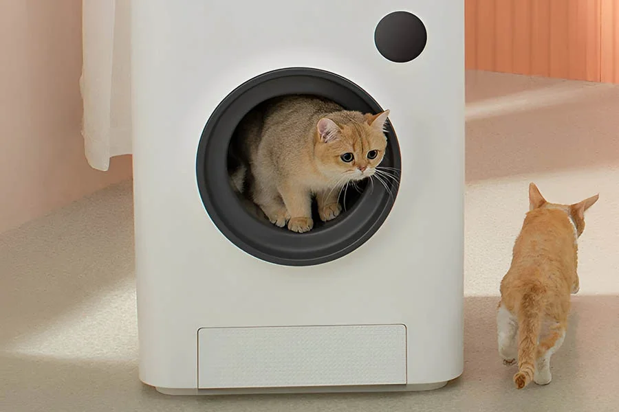 best automatic cat litter boxes