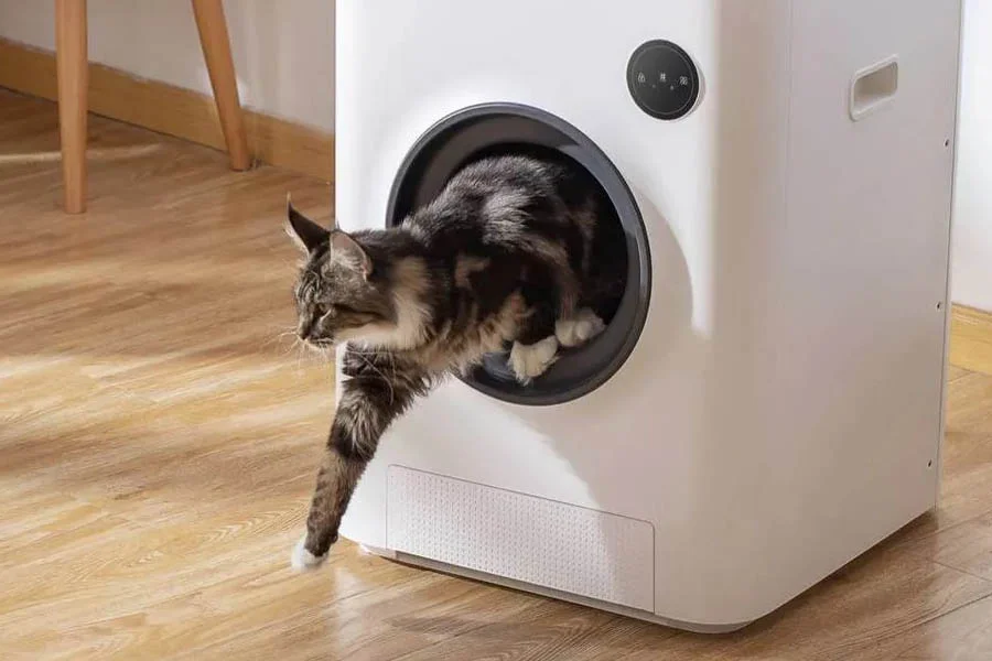 auto scoop litter box