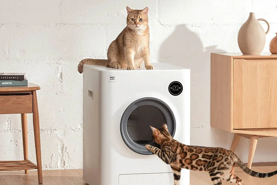 multi cat litter boxes