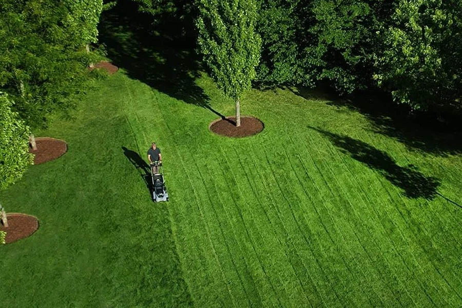 Best Self Propelled Electric Lawn Mower