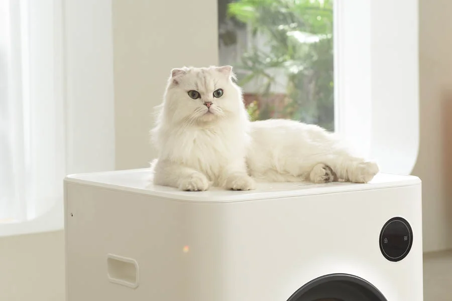 Auto Clean Kitty Litter Box